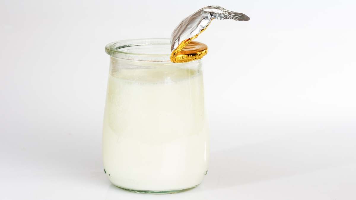 Yogur