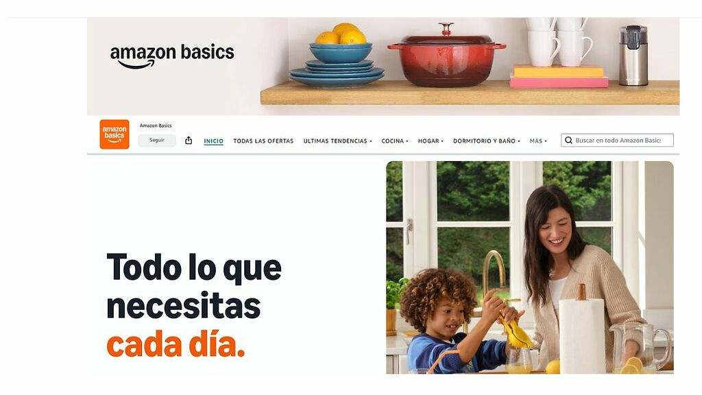 Amazon Basics