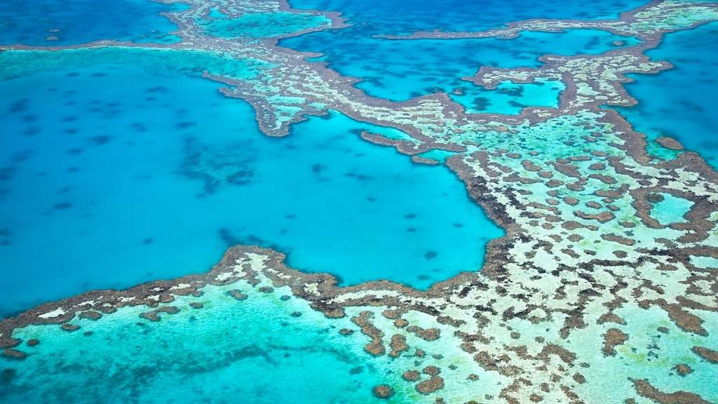 Gran Barrera de Coral, Australia