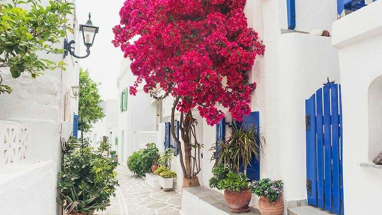 Paros