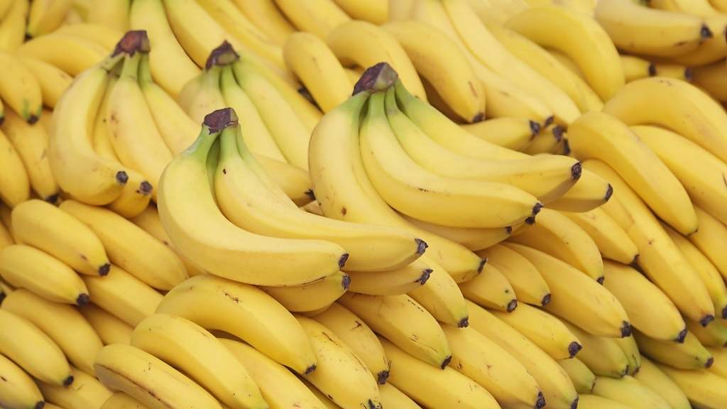 Plátano
