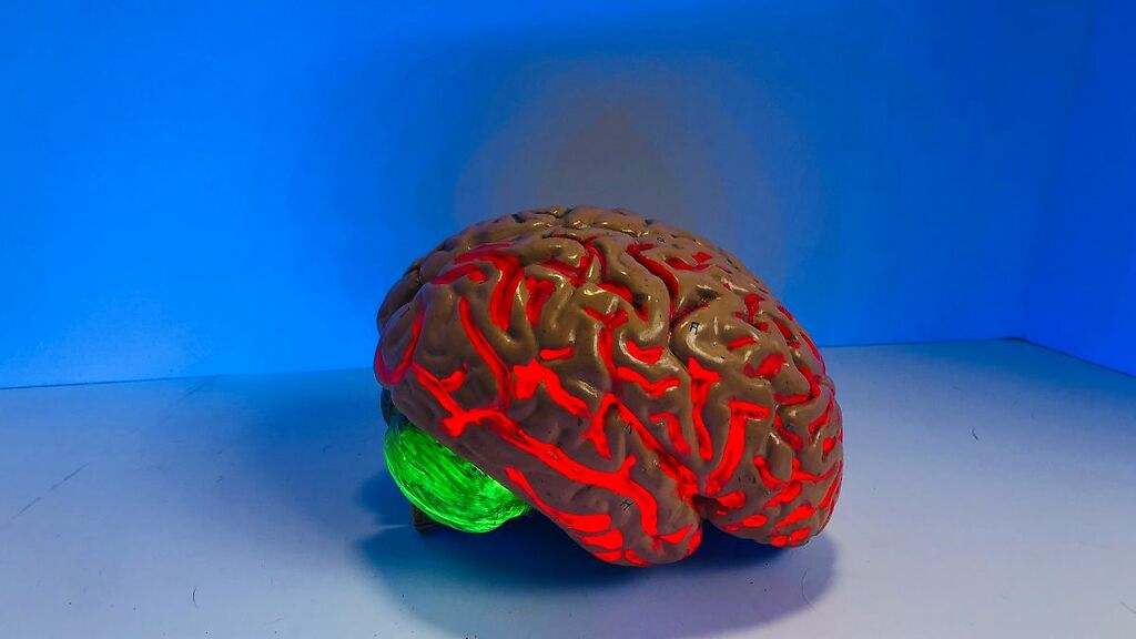 Mejora la memoria y el proceso cognitivo