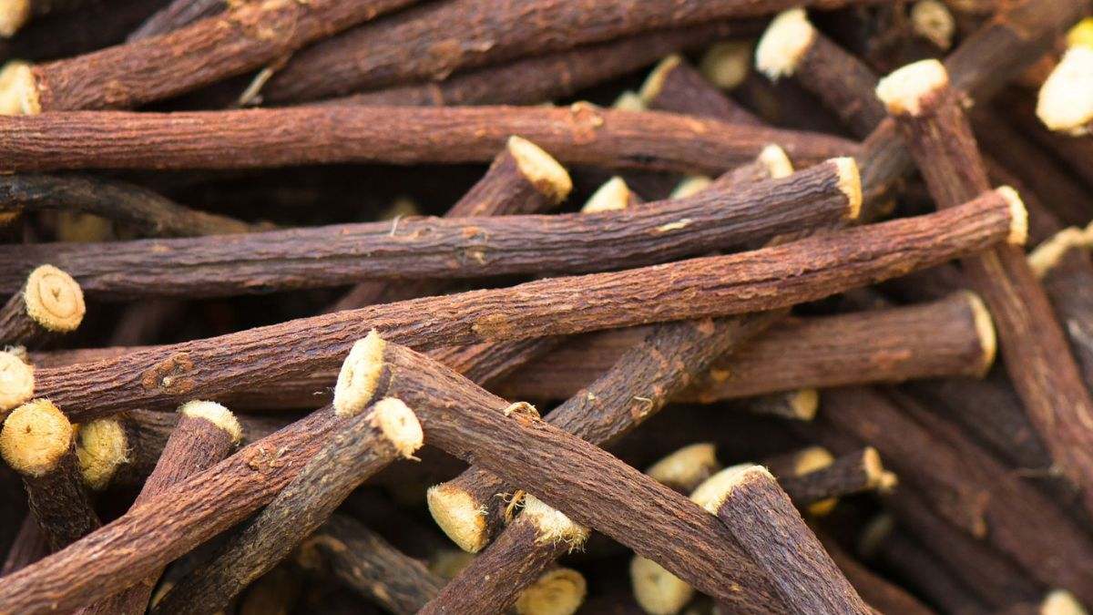 La planta medicinal que protege el hígado, mejora el aparato digestivo y reduce las enfermedades respiratorias