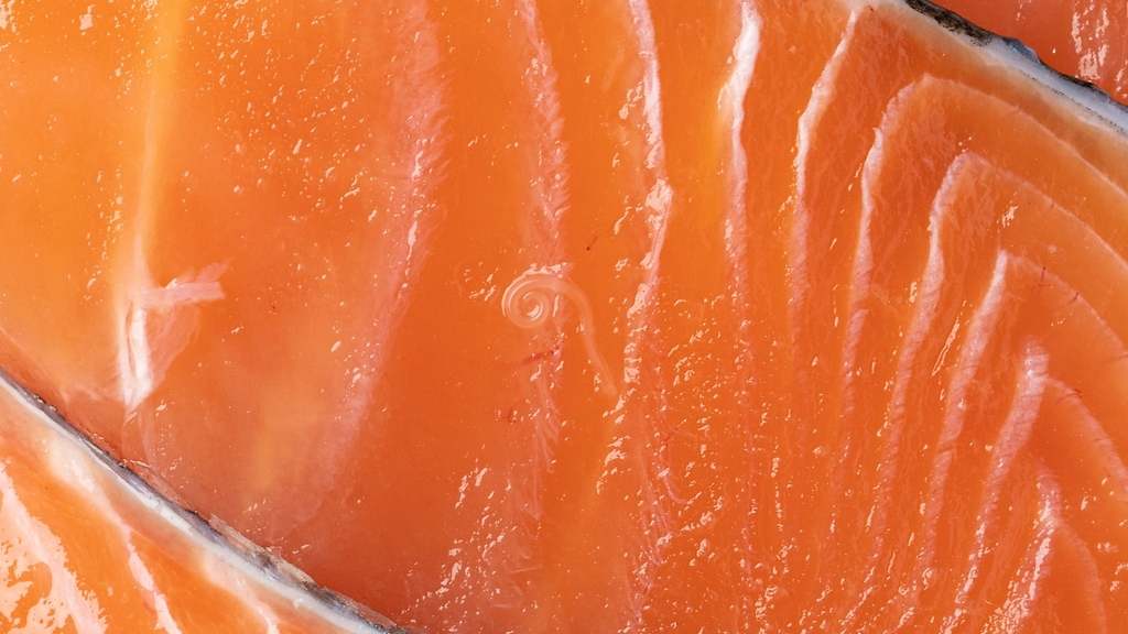 Qué pescados son los más seguros para evitar el anisakis