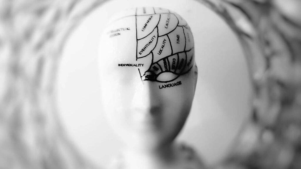 Mejora la función cerebral