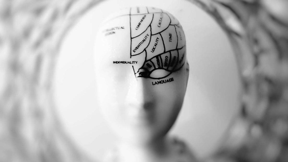 Mejora la función cerebral