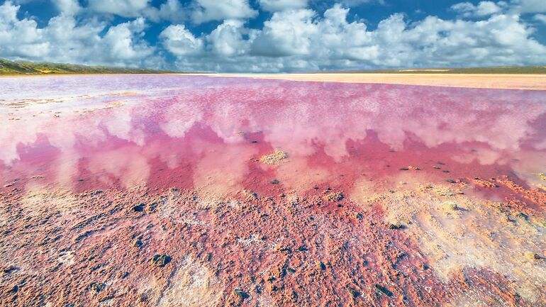 Lago con el agua de color rosa