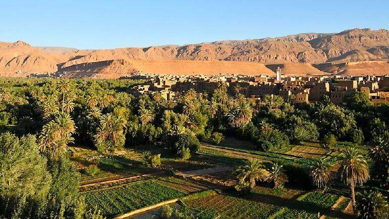 Huerto en Souss-Massa-Draa (Reuters)
