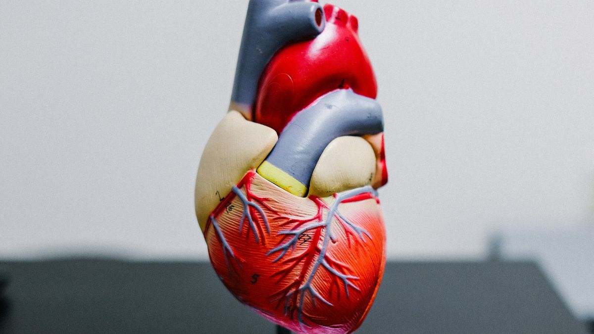 Previene enfermedades del corazón