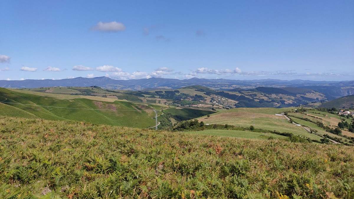 Era Rural: la red que impulsa más de 500 emprendedores y negocios en el medio rural