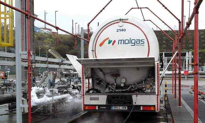 Molgas.jpg