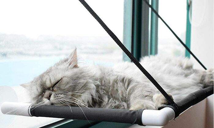 Las-mejores-hamacas-de-gatos-para-brindarle-a-tu-felino-un-espacio-de-descanso-desde-las-alturas.jpg