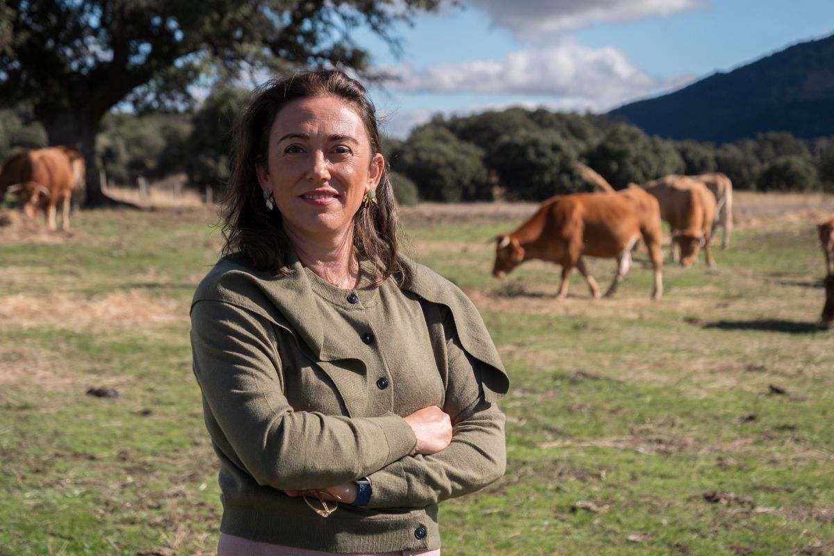 Castilla y León lidera un frente autonómico para reclamar al Ministerio mejoras en los seguros de viñedos por el mildiu