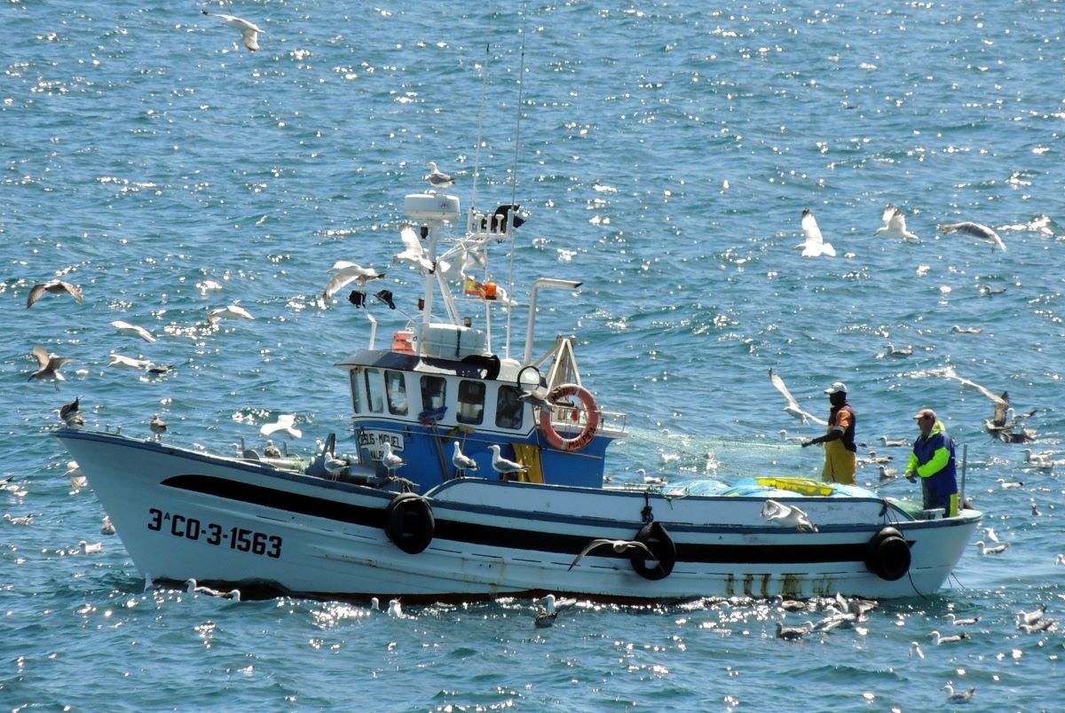 Galicia impulsa el Decálogo estratégico que establece las prioridades del sector pesquero en Europa