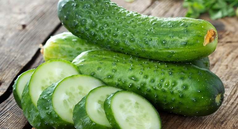 Pepino