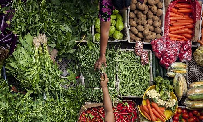 Seguridad-Alimentaria.jpg