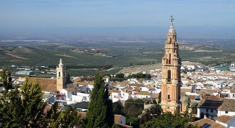 estepa-navidad