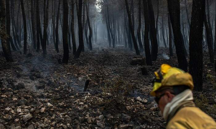 Incendio-Sierra-Culebra-1-ep.jpg