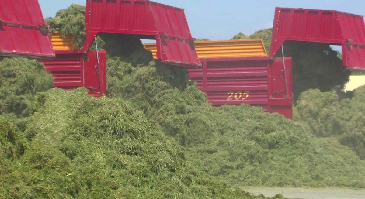 Aragón lidera la producción de forrajes deshidratados con un crecimiento del 14%