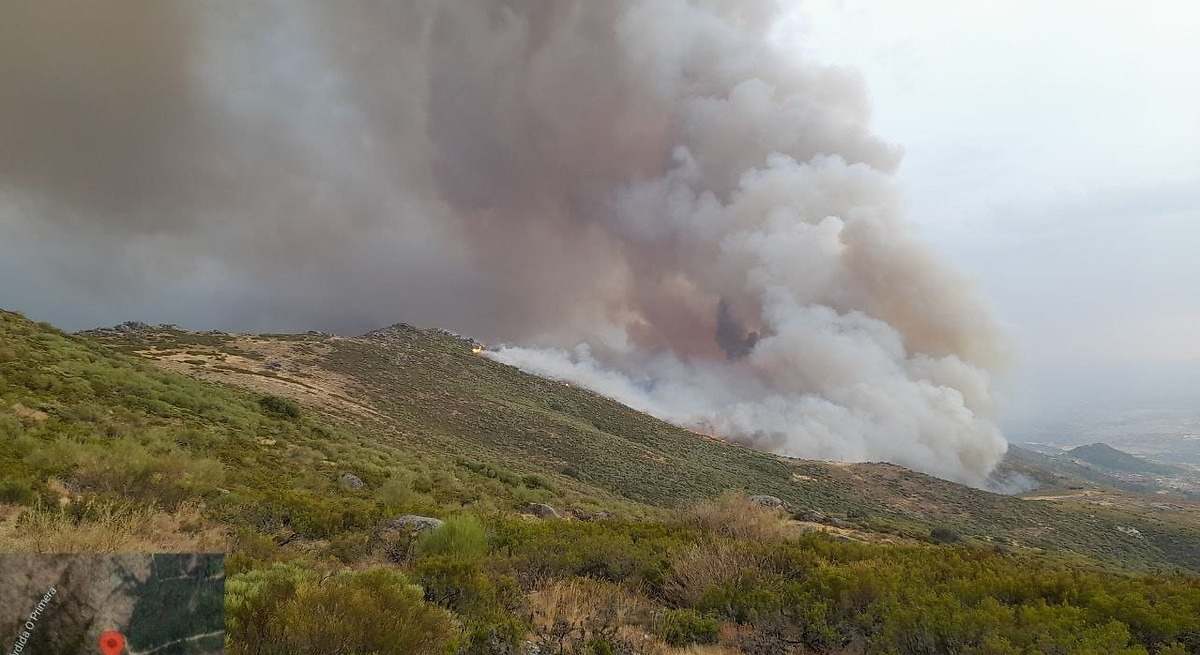 Apicultores extremeños piden a la Junta medidas de choque para enfrentar la  ruinosa  campaña marcada por el fuego