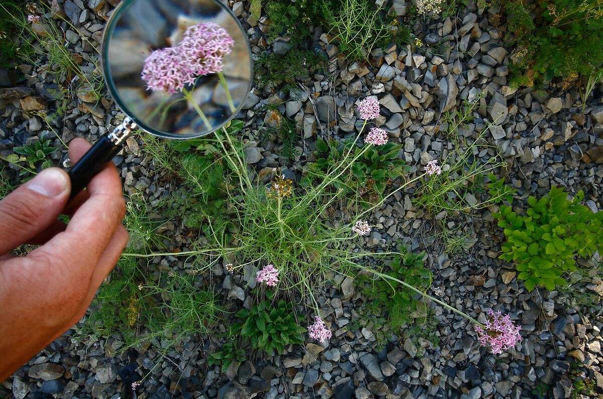 El suelo es clave a la hora de plantar