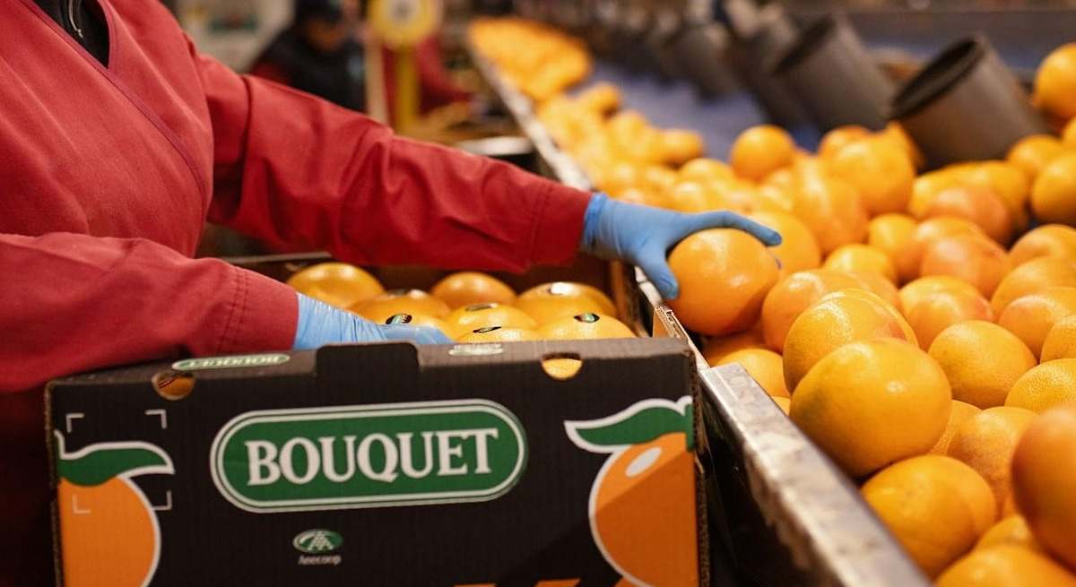La murciana Frucimi entra con sus pomelos en Agriconsa, la fábrica de zumo y conservas de Anecoop