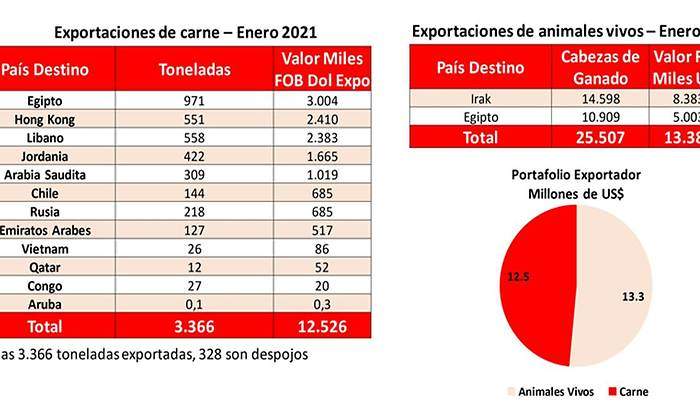 exportaciones-carne.jpg