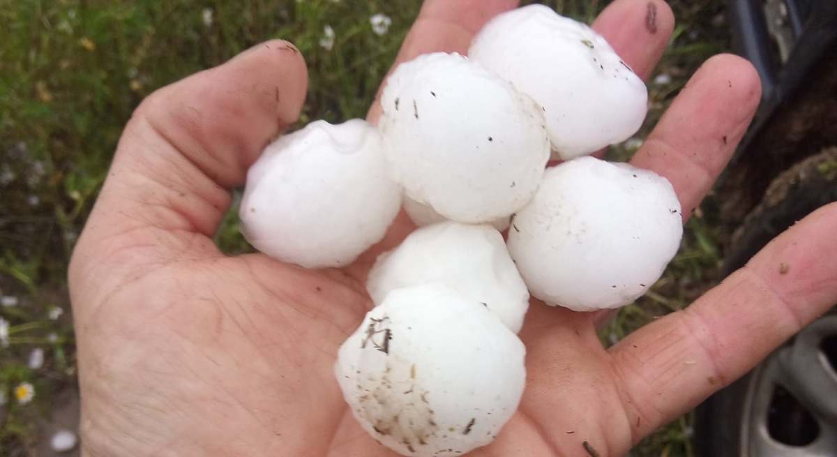 El pedrisco deja 27.000 hectáreas de cultivo con daños en la producción en Aragón