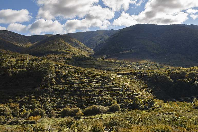 Valle del Jerte