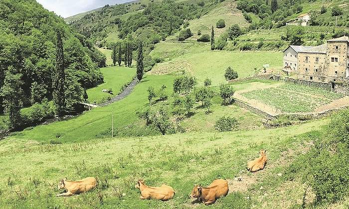 viticultores-heroicos-asturianos-1.jpg