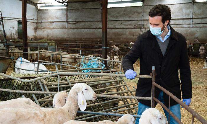 casado-ovejas-28abril-mudarra.jpeg