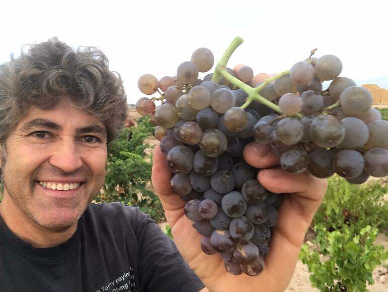 alex ascaso vinos de la tierra de Aragón