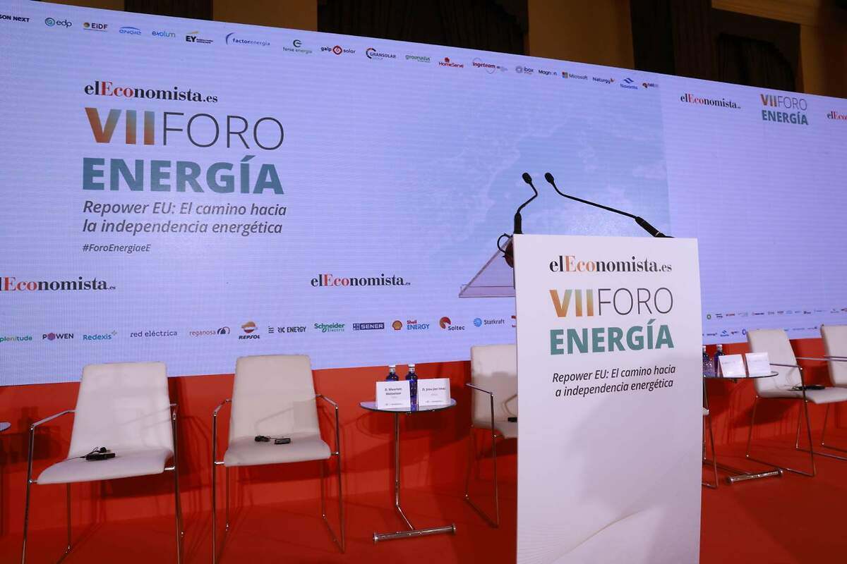VII Foro de Energía I