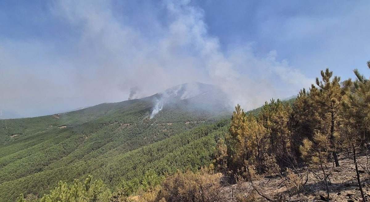 Los efectivos trabajan en controlar varios flancos del incendio en Las Hurdes aunque preocupa la zona de Avellanar