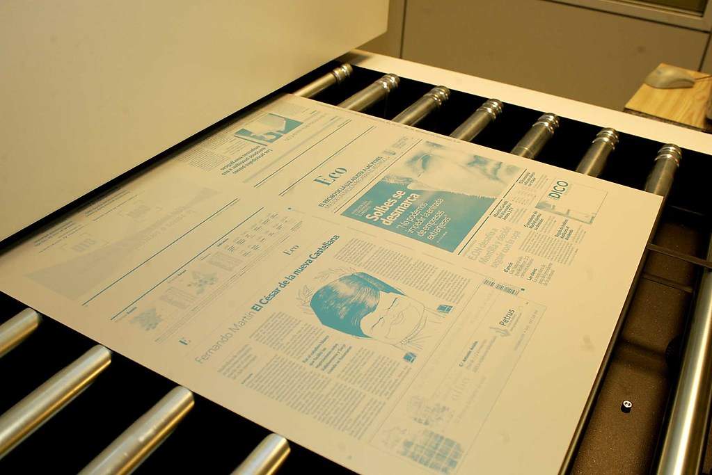 Plancha del primer ejemplar