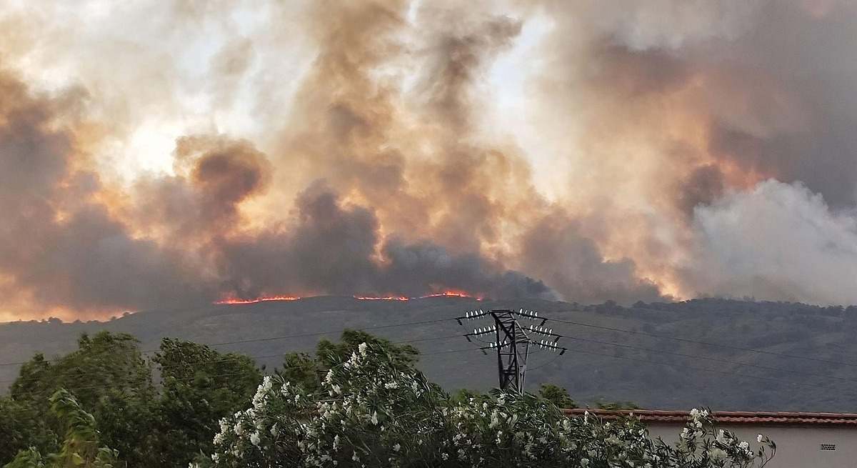 Agricultores y ganaderos extremeños exigen respuestas inmediatas y reales para los afectados por los incendios