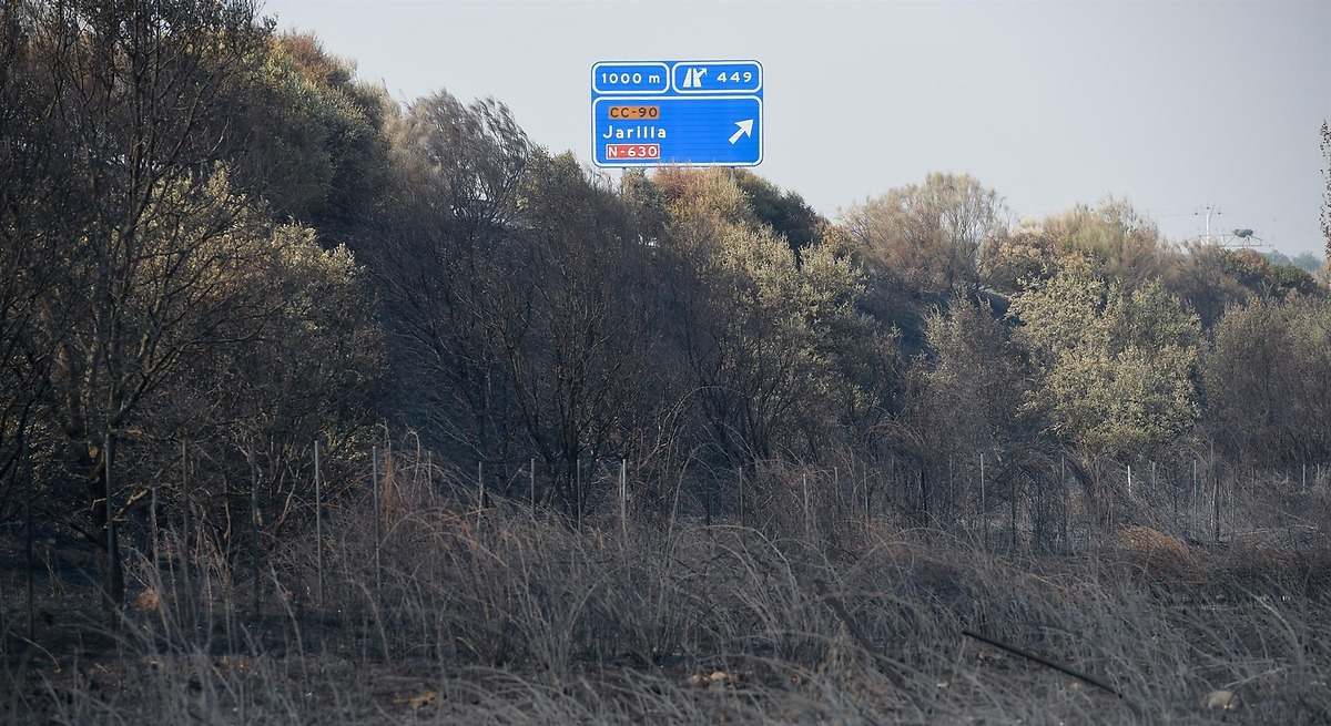 El viento dificulta las tareas de extinción del incendio de La Jarilla (Cáceres)