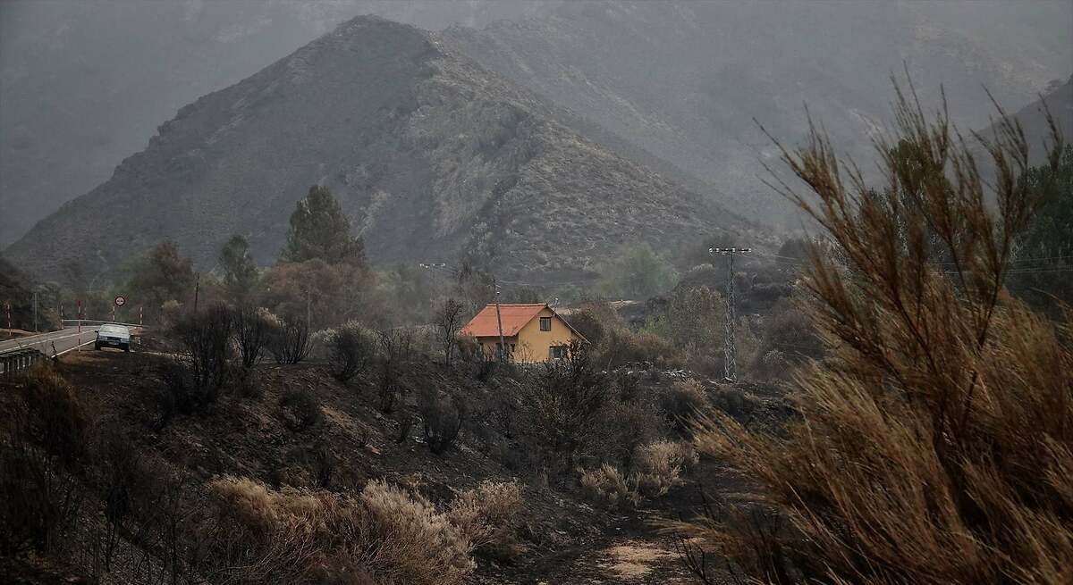 Meteorólogos piden atención para lo que llega tras los incendios porque afectará a la salud de gran parte del país:  Es una situación preocupante 