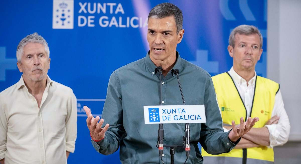 El Gobierno declara hoy zona de emergencia las más de 350.000 hectáreas quemadas
