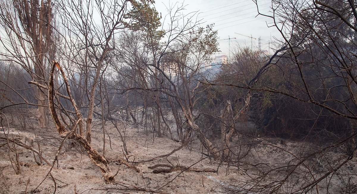 Protección Civil da la razón a la AEMET y pide que nos preparemos para lo que está por llegar porque no se salva casi ninguna zona de España:  En riesgo extremo 