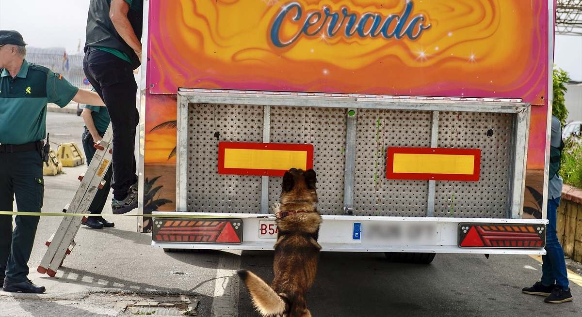 La Guardia Civil pide a toda la población que mire al suelo antes de subir al camión: alerta por lo que está pasando