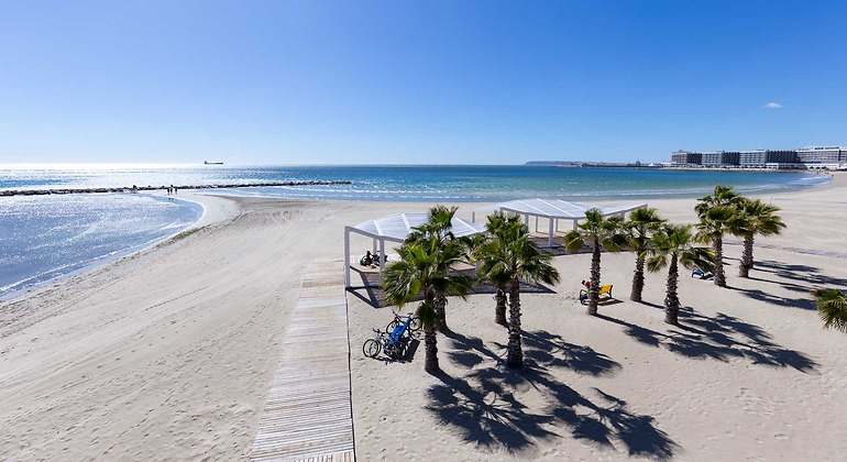 Playa del Postiguet con palmeras y un paseo de tablas