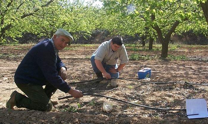 campo 1