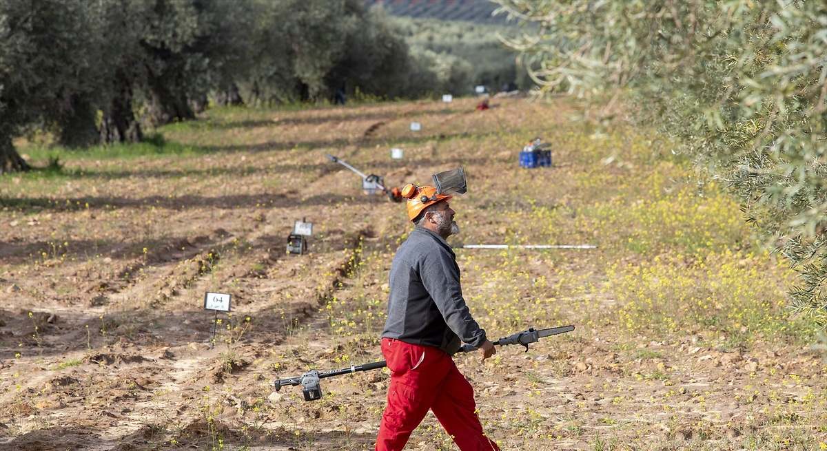 La UE bajará hasta un 20% las ayudas agrarias para pagar el gasto en Defensa