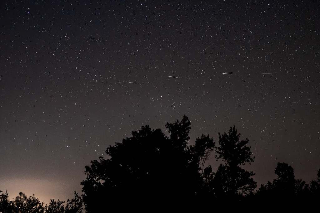 El contraste de los árboles con el cielo iluminado