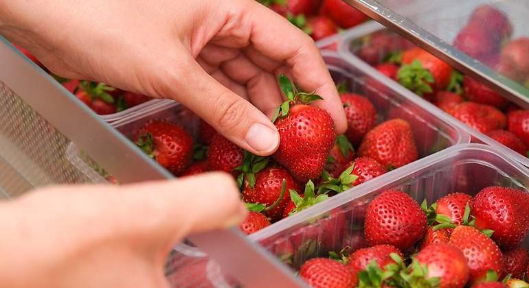 Fresas en el frigorífico