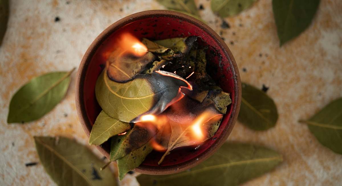 Quemar una hoja de laurel: el ritual que deberías poner en práctica en septiembre para atraer la abundancia