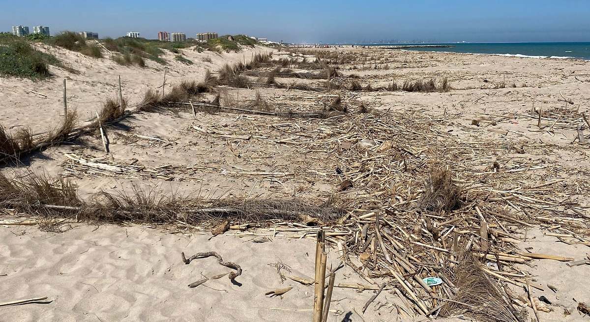 No son excluyente: las playas de Valencia que tienen a la vez Bandera Azul y Bandera Negra este 2025