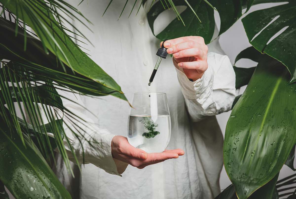 El abono casero considerado 'oro verde' ideal para revivir y hacer crecer tus plantas