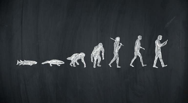 evolución de la humanidad